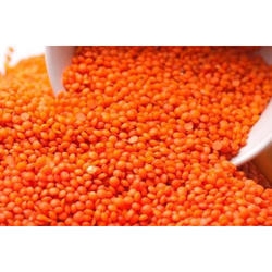 Moshur Daal(Large)-1kg